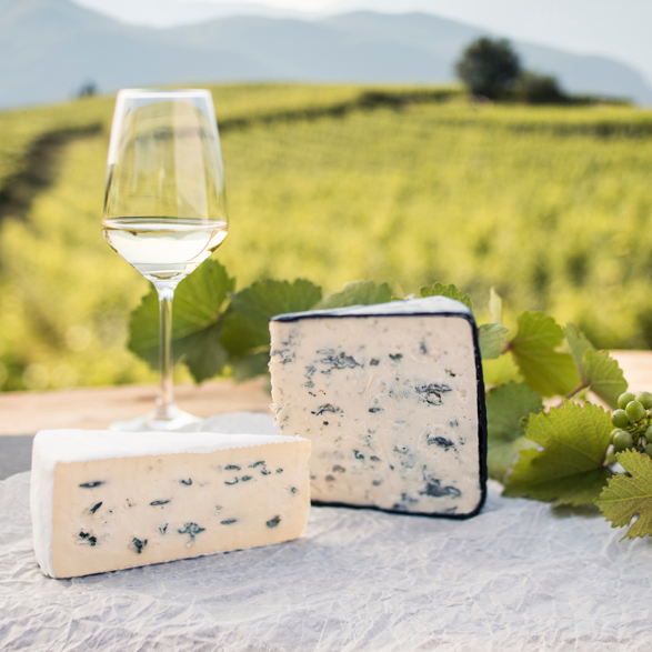 Bildmotiv für Platzhalter Katze